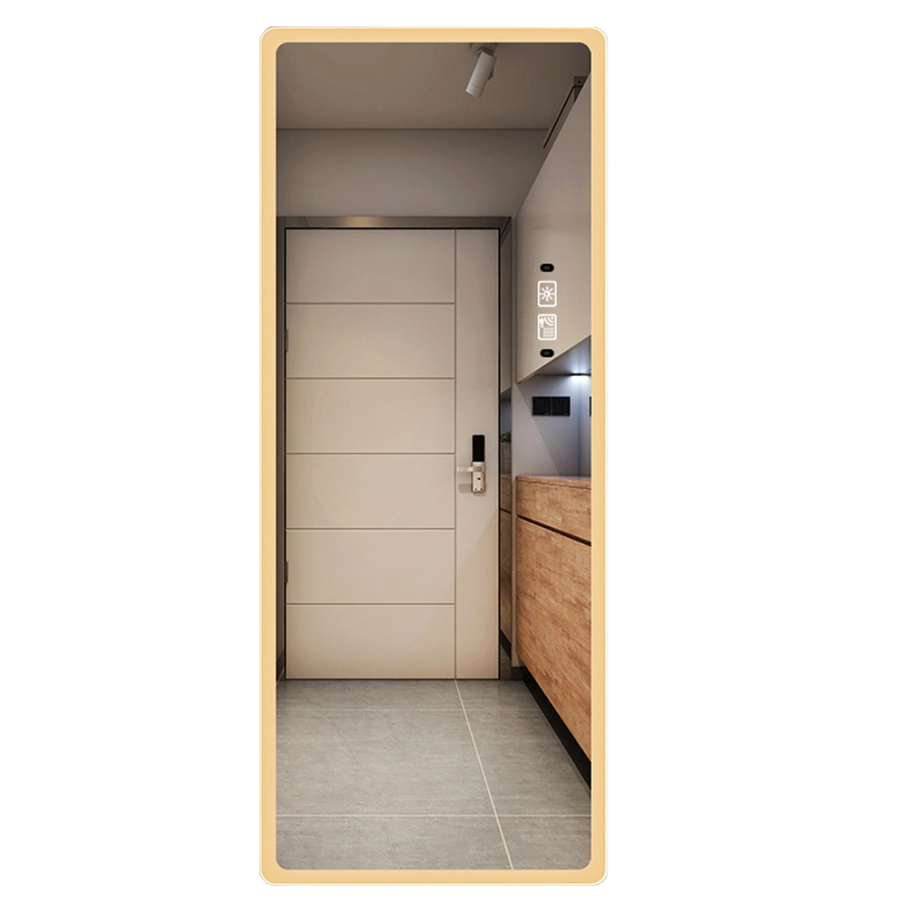 High Quality Full Length Mirror with LED Light Backlit Bathroom Mirrors Dressing Room Mirror